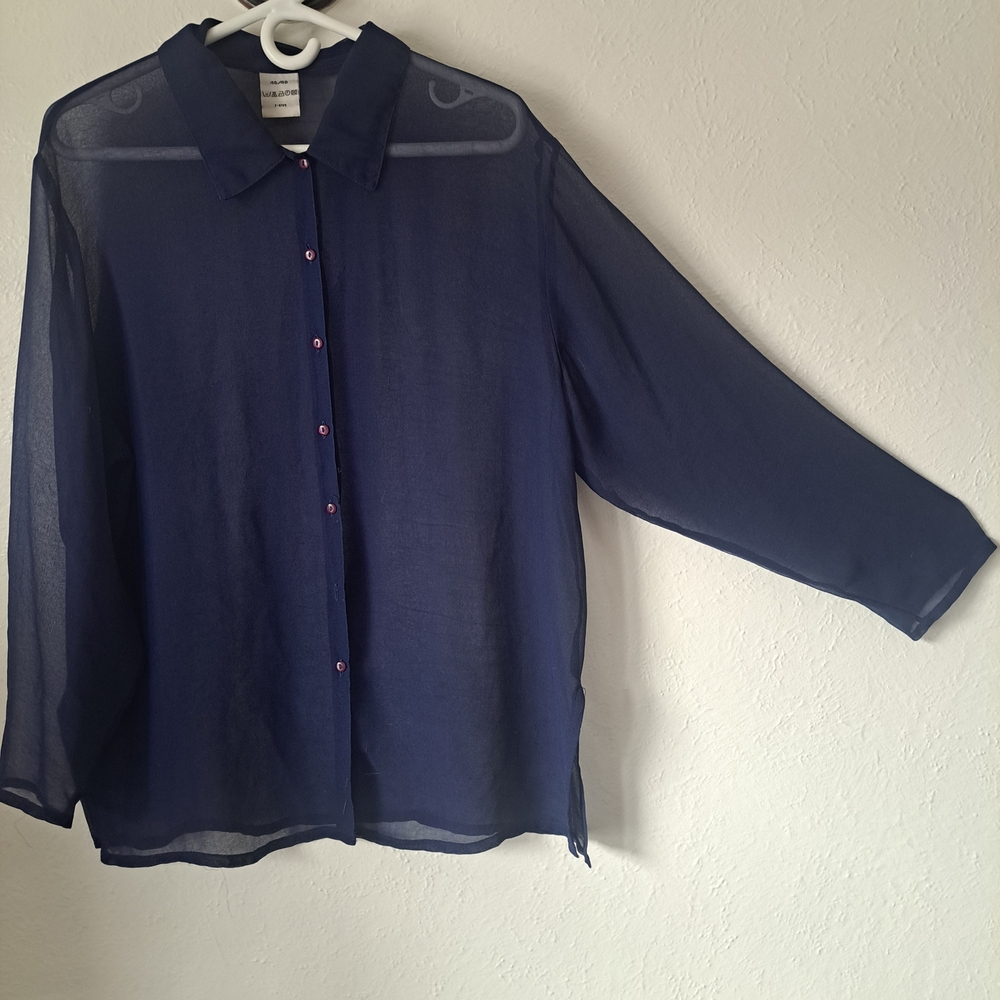 Sheer Navy Button-Up Blouse